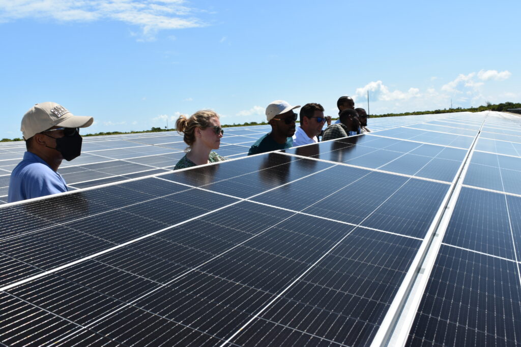 people standing amongst solar panels