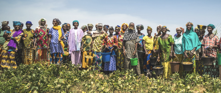 African farmers in a meadow